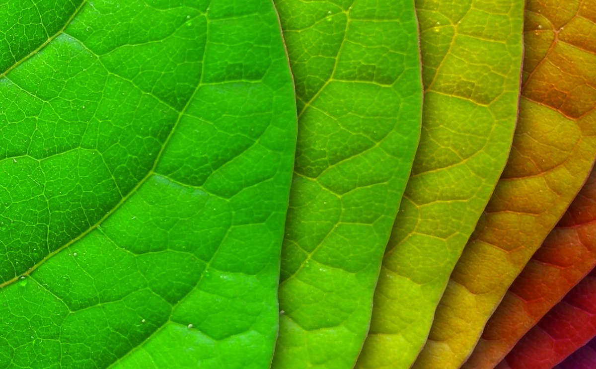 The Path To Thriving I: Sustainability is&nbsp;Dead