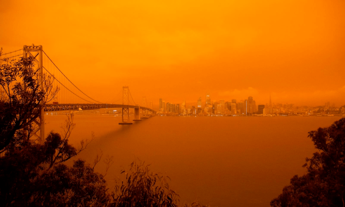 Things I Can No Longer Do&nbsp;#1